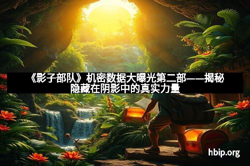 《影子部队》机密数据大曝光第二部——揭秘隐藏在阴影中的真实力量